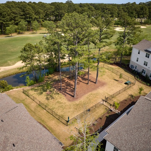 Dog park with trees